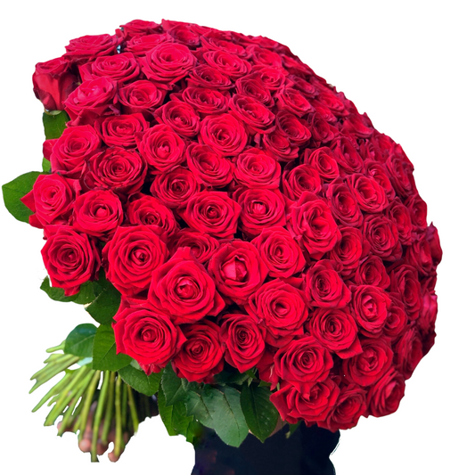 Red Roses Valentines Day